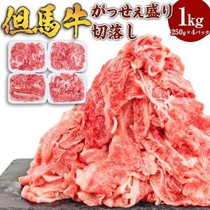 【ふるさと納税】但馬牛 がっせぇ盛り（切落し・1kg）250g×4パック 小分け 肉 牛肉 お肉 赤身 バラ バラ肉 ばら 国産 黒毛和牛 和牛 切落し 切り落とし お取り寄せ 冷凍 兵庫県 新温泉町 送料無料