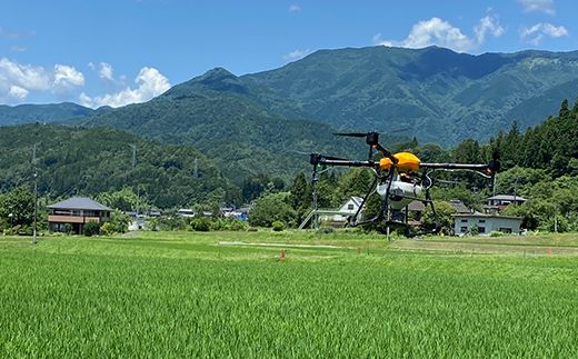 【9回定期便】令和7年産 岐阜県産 棚田米 1等米コシヒカリ はちたか米 精米2kg F4N-2742