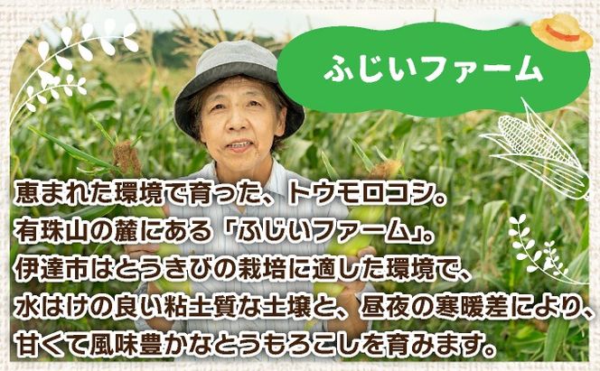 ＜先行予約＞北海道産 とうもろこし(ホイップコーン) Lサイズ 10本 【55250483】ホワイト トウモロコシ とうきび コーン スイートコーン 国産 野菜 人気 ふじいファーム