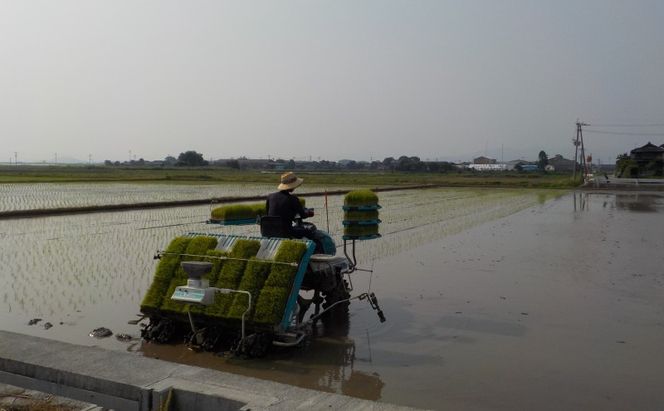 米 10kg 精米 ゆめつくし お米 福岡県産 