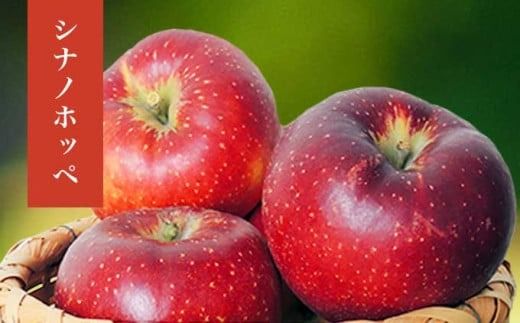 長野県産 季節の旬のりんご 約3kg 6～12玉［小布施屋］ りんご 林檎 リンゴ 果物 フルーツ 令和7年産 【2025年10月～2026年2月発送】 ［H-72］