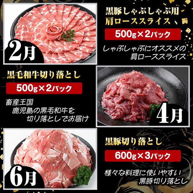 ＜定期便・全6回(偶数月)＞鹿児島県産 黒毛和牛・黒豚 定期便 B (総量5.9kg以上) 国産 鹿児島県産 黒豚 しゃぶしゃぶ 肩 ロース スライス 訳あり 切り落とし 黒毛和牛 サーロイン ステーキ 黒豚 バラ カタ ウデ 小分け セット 【スターゼン】akn042-37