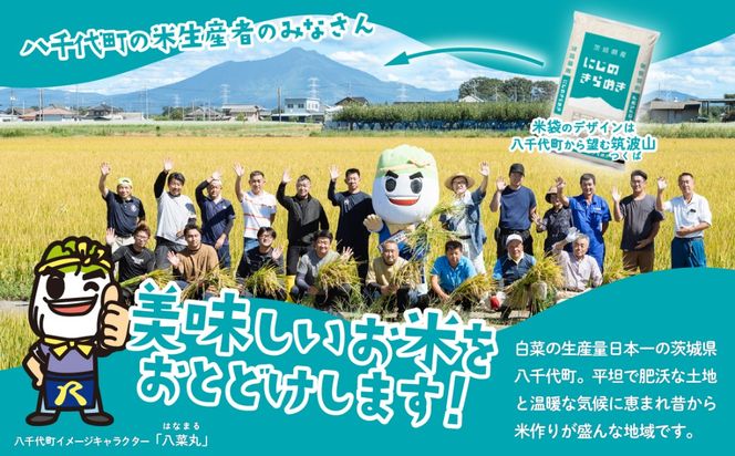 米 5kg 10kg 20kg【最安】にじのきらめき スピード発送 6月 7月 令和7年産 白米 精米