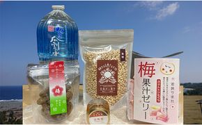 赤ちゃんやペットも食べられる！贈り物にもピッタリ！若狭おやつセット　　目白大学の学生が考案、その3 和菓子 スイーツ お菓子 ゼリー ジュレ ジャム お菓子セット 