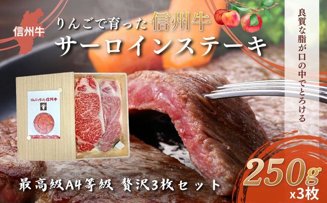【りんごで育った信州牛】ステーキ用3枚入り【 牛肉 信州牛 サーロインステーキ 黒毛和牛 A4 サーロイン ステーキ 肉 お肉 牛 和牛 焼肉 焼き肉 BBQ バーベキュー ギフト 冷蔵 長野県 長野 】 