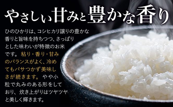 米 ひのひかり 米 選べる 内容量 計5kg 計10kg 《30日以内に出荷予定(土日祝除く)》 ヒノヒカリ お米 こめ 熊本県産 精米 ブランド米 ご飯 選べる---mifune_nsm_6_5h---