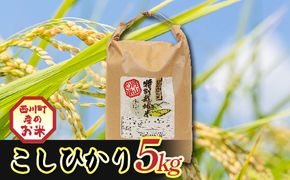 FYN6-555 令和7年度 山形県西川町産 こしひかり 5kg 精米 白米 ブランド米 米 ご飯 ごはん 自宅用 家庭用