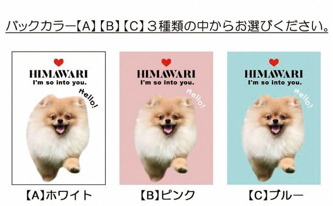 ペットの可愛いお写真をキーホルダーに♪うちの子アクリルキーホルダー（デザインA）