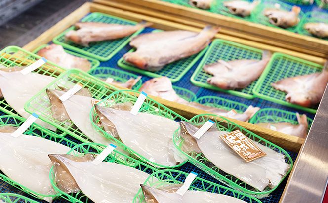 大きな大きなアジ一夜干し (大：35cm程) 魚貝類 魚 一夜干し あじ アジ 鯵 大きめ 干物 ひもの セット 日本酒 