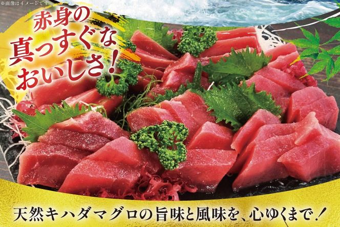 マグロ 天然 まぐろ 赤身 サク 4袋 計1.2kg [大長増田商店 静岡県 吉田町 22424243] 鮪 魚 魚介 刺し身 刺身 さしみ お刺身用 柵 ブロック キハダ 業務用