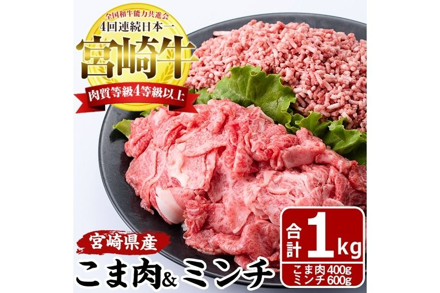 宮崎牛 こま肉 ミンチ セット(計1kg・こま肉400g、ミンチ600g)牛肉 お肉 こま切れ ひき肉 黒毛和牛 ブランド和牛 詰め合わせ 詰合せ 国産 冷凍[MF-9][エムファーム]