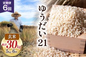 6回 定期便 米 令和8年産 玄米 ゆうだい21 5kg×6回 計30kg [穂足農園合同 山梨県 韮崎市 20745231] お米 コメ ご飯 ごはん 山梨県産