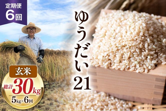 6回 定期便 米 令和8年産 玄米 ゆうだい21 5kg×6回 計30kg [穂足農園合同 山梨県 韮崎市 20745231] お米 コメ ご飯 ごはん 山梨県産