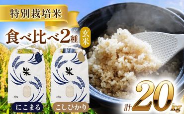 令和6年産　愛知県産　コシヒカリ・にこまる　玄米　各10kg　特別栽培米　お米　ご飯　愛西市／戸典オペレーター　[AECT015]