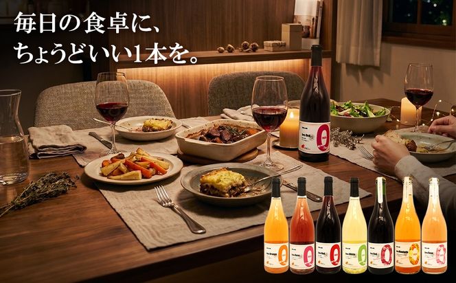 【6ヶ月定期便/毎月お届け】デイリーワイン 750ml×1本 おまかせ 赤 白 ロゼ スパークリング 酒 クラフト ギフト プレゼント 母の日 父の日 K2709