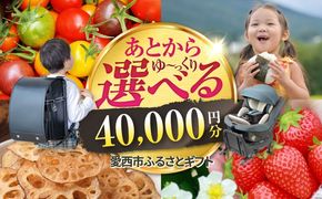 【あとから選べる】 愛知県愛西市ふるさとギフト 4万円分 日本酒 スイーツ シャンプー あとから ギフト[AECY003]