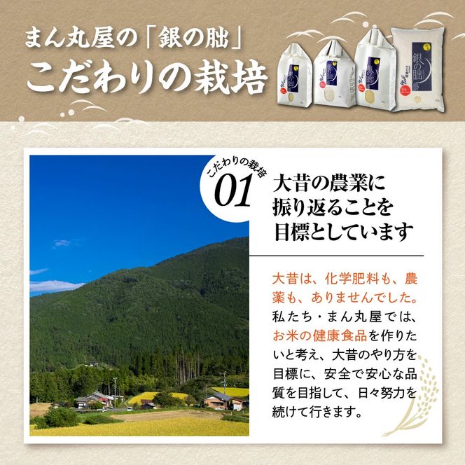 ＜テレビで紹介されました！＞令和8年産 新米【全12回定期便】皇室献上米『銀の朏』2kg 中津川市加子母産 栽培期間中化学肥料不使用 お米 新米 精米 F4N-2889