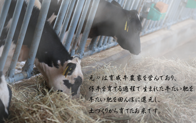 【令和8年産 先行予約】【11月以降順次発送】平泉町産 ひとめぼれ 玄米5kg / こめ コメ 米 お米 おこめ 白米 ご飯 ごはん ライス 山水【aoki015】