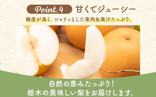 【先行予約】梨(にっこり) 4玉～7玉入り×1箱 (4.5kg以上) ※2026年10月上旬～11月下旬頃に順次発送予定