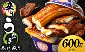 G3615d 【土用の丑の日までにお届け】うなぎ 蒲焼き 暴れ盛り 合計 600g【鰻 真空パック 簡単調理 訳あり サイズ不揃い 人気 惣菜 うな重 うな丼 ひつまぶし にも】