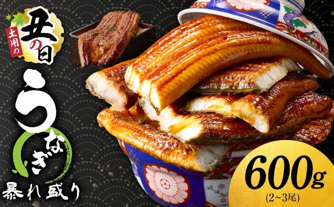 G3615d 【7/26土用の丑の日】うなぎ 蒲焼き 暴れ盛り 合計 600g【鰻 真空パック 簡単調理 訳あり サイズ不揃い 人気 惣菜 うな重 うな丼 ひつまぶし にも】
