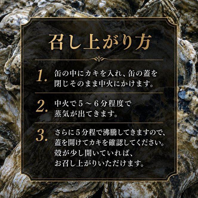 【厚岸漁協直売店特製】 かきガンガン焼 Lセット 15個 北海道 牡蠣 カキ かき  生牡蠣 殻付  魚介類 マルえもん