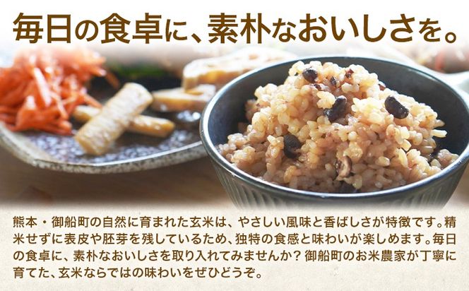 玄米 5kg 10kg さこんたろう《90日以内に発送予定(土日祝除く)》熊本県 御船町 コメ おこめ ごはん 熊本県産---mifune_skt_2_5kg---