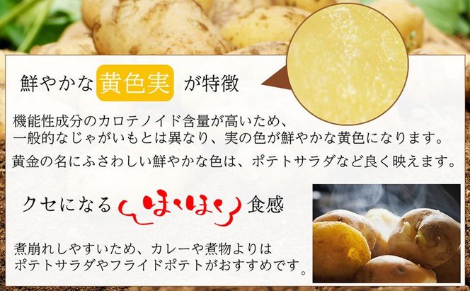 BH049 じゃがいも 希少品種 ながさき黄金 S～2Lサイズ混合 約10kg [ 野菜 芋 ジャガイモ 10キロ ほくほく 先行予約 常備野菜 サイズ混同 国産 贅沢宝庫 長崎県 島原市 ]