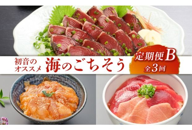 初音のオススメ3回定期便B[カツオ・漬け丼・本マグロ] 刺身 漬け カツオのたたき 海鮮 魚 惣菜 30000円 送料無料