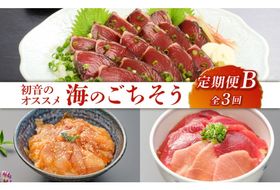 初音のオススメ３回定期便Ｂ＜カツオ・漬け丼・本マグロ＞ 刺身 漬け カツオのたたき 海鮮 魚 惣菜 30000円 送料無料　hn081