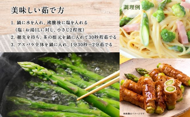北海道 グリーンアスパラガス 約800g M-L サイズ混合 アスパラガス アスパラ 朝採れ 採れたて 新鮮 野菜 農作物 産直 国産 羊蹄山麓産 JAようてい