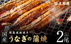 099H5077 老舗「五郎藤」関西風地焼き 国産有頭旨鰻 120g×2尾 計約240g前後 うなぎ ウナギ 蒲焼き 炭火
