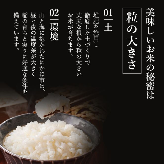 【新米先行予約】米 定期便 全6回【2ヶ月に1回】 ひとめぼれ 5kg ×6回 計30kg 令和8年産〈土づくり実証米〉JAしんせい【 精米 白米 米 コメ お米 ご飯 秋田 にかほ 】