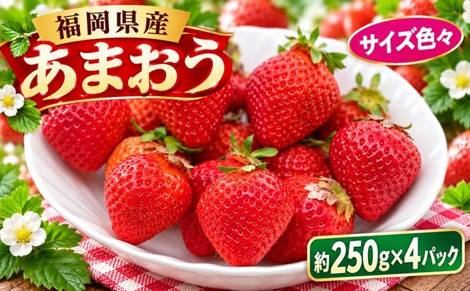 いちご 2027年2月下旬より発送 うるう農園のあまおう サイズ色々4パック 約1kg※配送不可：離島 果物 フルーツ デザート 食後 特別栽培 福岡県産 国産 日本産 