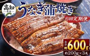 定期便 うなぎ 蒲焼き 約200g 3尾 6回 高知県産 養殖 魚介 国産 海鮮 魚 かばやき 鰻 ウナギ 惣菜 おかず お手軽 加工品 加工食品 冷凍 Wfb-0055