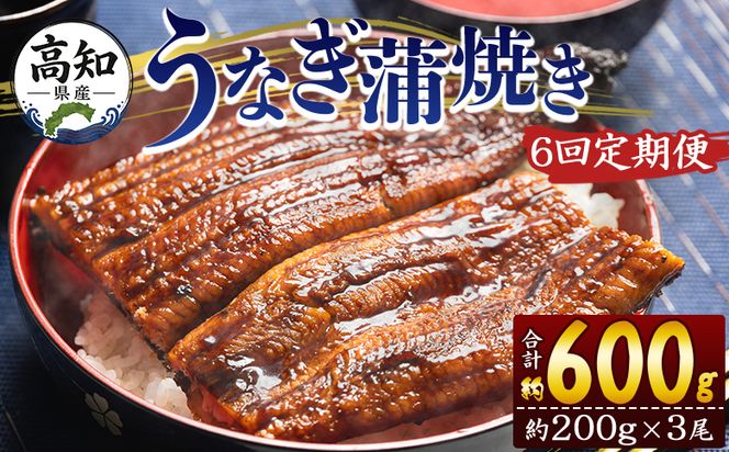 定期便 うなぎ 蒲焼き 約200g 3尾 6回 高知県産 養殖 魚介 国産 海鮮 魚 かばやき 鰻 ウナギ 惣菜 おかず お手軽 加工品 加工食品 冷凍 Wfb-0055