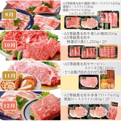 定期便(12回配送)枕崎お楽しみ便(A5等級黒毛和牛・黒豚・黒豚加工品・さつまあげ等)JJ-6003 【1166754】