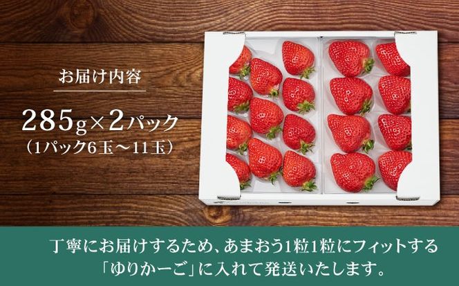 【その日一番のあまおうを即日出荷！】 本格 あまおう ( 285g × 2パック) いちご 苺 糸島市 / みのりのりん[ABD002]