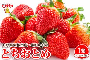 【2027年産　先行予約】神町いちご（とちおとめ）12粒～15粒 山形県 東根市 hi069-015-r9