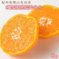 【先行予約】【ご家庭用訳あり】紀州和歌山有田産温州みかん5kg