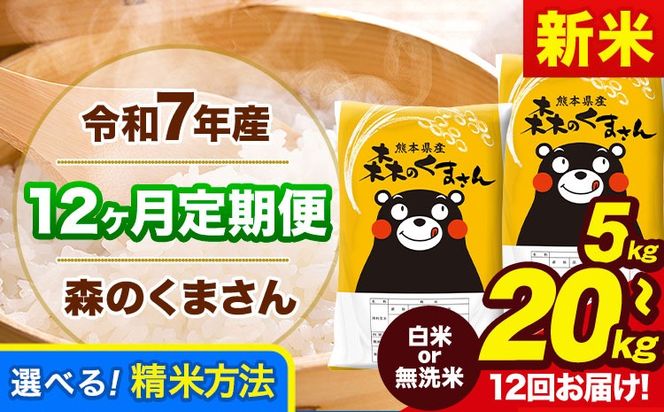 【12ヶ月定期便】令和7年産 無洗米 も選べる 森のくまさん 5kg 10kg 15kg 20kg 《11月から出荷開始》 熊本県産 無洗米 白米 精米 ひの 米 こめ ふるさとのうぜい コメ 熊本米 定期便---mk7tei_150000_5kg_mo12_gkt_h---