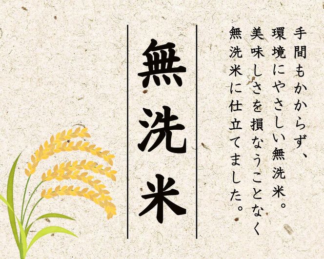 T-12【令和7年産 頒布会】無洗米 魚沼産コシヒカリ 4kg×全3回米 コメ こしひかり 精米 ブランド米 お取り寄せ 十日町市