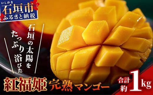 【2026年発送 先行予約】「紅福姫ブランド」石垣島のマンゴー 約1kg【沖縄県 石垣市 産地直送 旬 石垣島産 マンゴー 完熟マンゴー アーウィン種マンゴー】OT-04