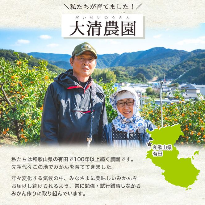 濃厚完熟！ 有田みかん 約3kg (2S～Lサイズ混合 家庭用)_BG6111n