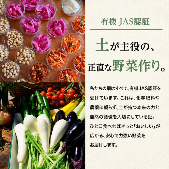 小笠原農園の有機じゃがいも「とうや」12kg 北海道 十勝 幕別《2026年秋出荷先行予約》【 野菜 芋 じゃがいも とうや 】 