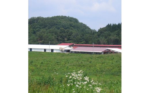 藤増 しまね和牛小間切り 600ｇ【冷蔵】 322032_DS017