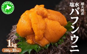 北海道 噴火湾産 塩水 バフンウニ 100g 10パック 計1kg うに ウニ 雲丹 海鮮 海の幸 魚介類 ウニ丼 お寿司 濃厚 無添加 産地直送 お取り寄せ 山村水産 送料無料 【55250875】