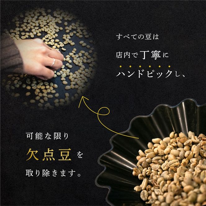 【CRUISE TOWN COFFEE ROASTERS】オリジナルブレンド・ドリップバッグ5種セット（12g×20袋） 飲料 ドリップコーヒー 休憩 飲み物 一息 手軽 簡単 優しい酸味 マイルド 