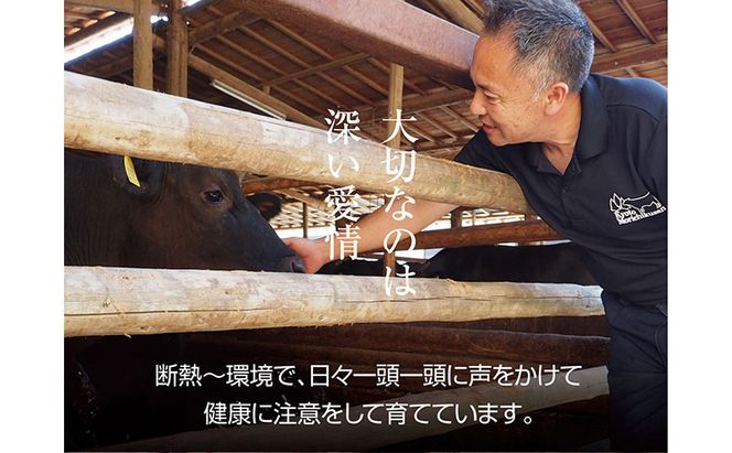 京都もり牛 赤身 スライス 500g モモ・ウデ