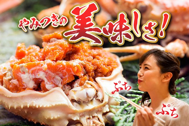 【ボイルセコガニ 8匹 計1kg（訳あり指欠まざり） 冷凍】 濃厚 カニ味噌 やみつき 内子 外子 絶品 釜茹で 冷凍 産地直送 鮮度抜群 かに カニ 蟹 松葉がに 松葉ガニ せいこがに メスガニ 親ガニ 大人気 ふるさと納税 おすすめ 返礼品 兵庫県 香美町 香住 柴山 送料無料 SKG WKA 北由商店 19000円 44-02